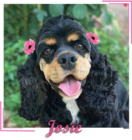 Josie